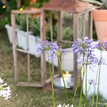 Bed & Breakfast Bb Ilde Villa Verucchio