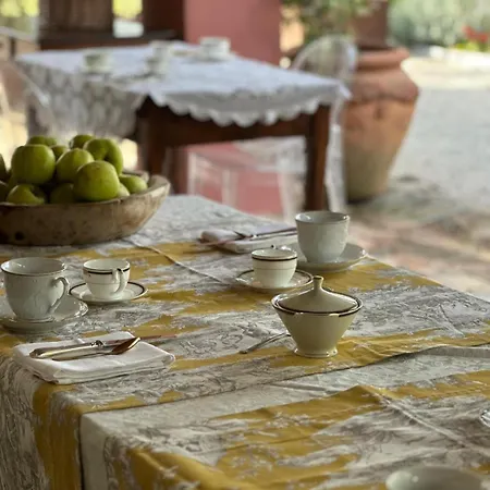 Oda ve Kahvaltı Bb Ilde