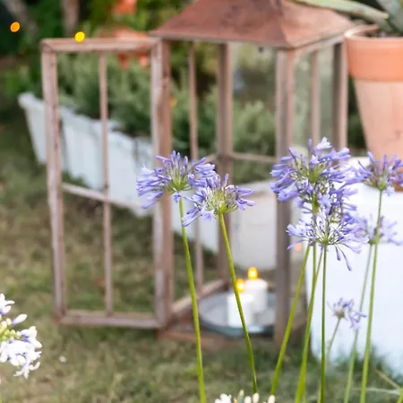 Oda ve Kahvaltı Bb Ilde Villa Verucchio