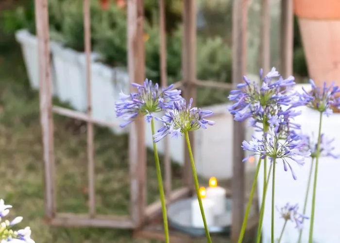 לינה וארוחת בוקר Bb Ilde Villa Verucchio