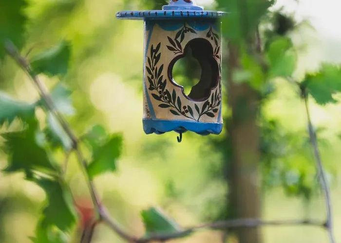 Bb Ilde Отель типа 